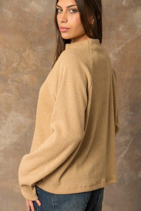 Sweater Tortois